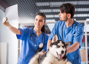 Two Veterinarians in their Office
