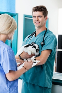 Male Veterinarian with a Bunny in his Clinic