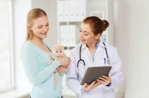 Veterinarian with a customer and her kitten